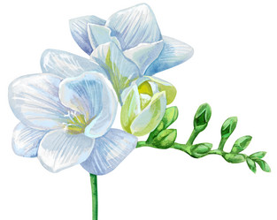 Similar image 21310054