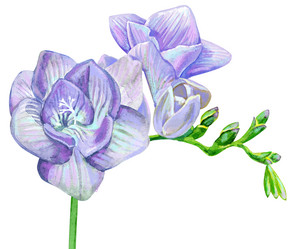 Similar image 21305140