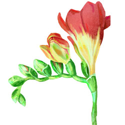 Similar image 21305141