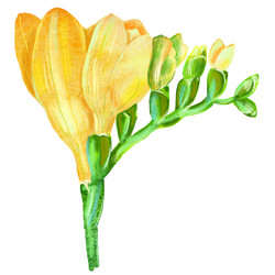 Similar image 21310055