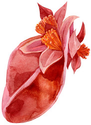 Similar image 21305177