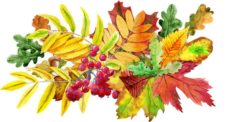 Similar image 21305241