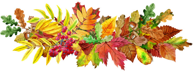 Similar image 21305276