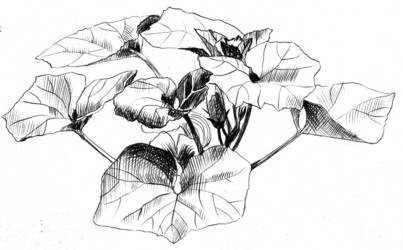 Similar image 21305277