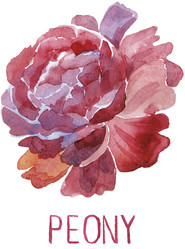 Similar image 21305292