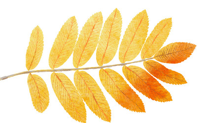 Similar image 21305294