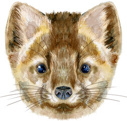 Similar image 21305297