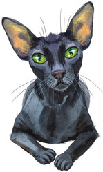 Similar image 21305301