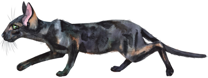 Similar image 21305303