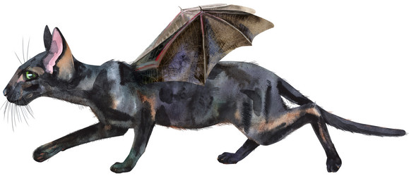 Similar image 21305311