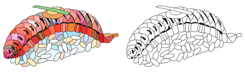 Similar image 21304878