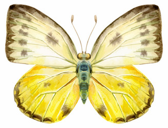 Similar image 21305417