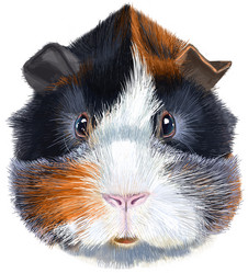 Similar image 21299210