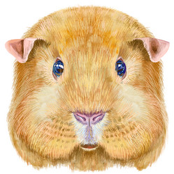 Similar image 21299106