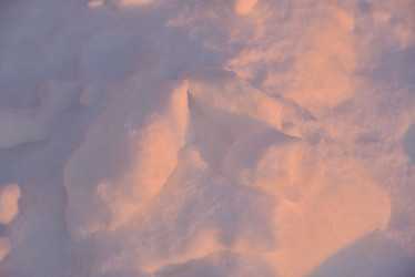 Similar image 21318855