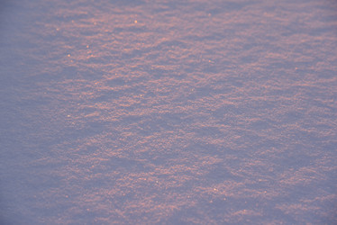 Similar image 21339296