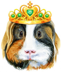 Similar image 21299137