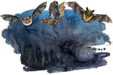 Similar image 21294526