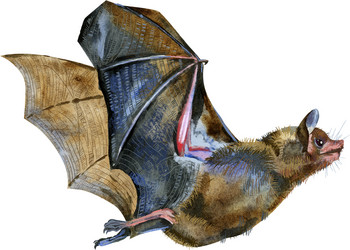 Similar image 21295533