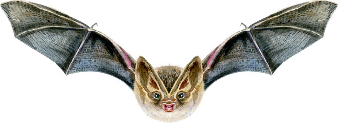 Similar image 21295809