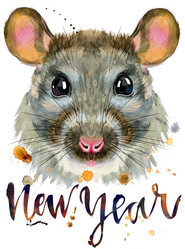 Similar image 21295542