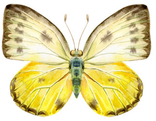 Similar image 21295544