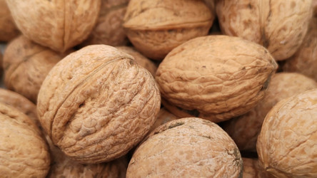 Similar image 21334698