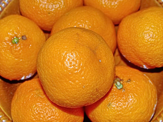 Similar image 21292677