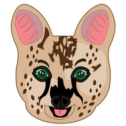 Similar image 21314505