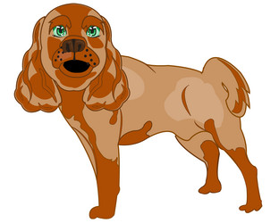 Similar image 21318413