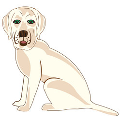 Similar image 21318545