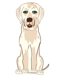 Similar image 21318546