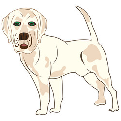 Similar image 21318548