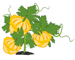 Similar image 21314538