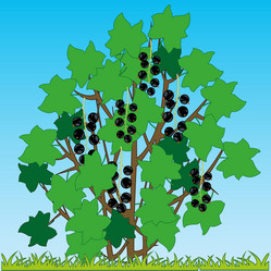 Similar image 21318592