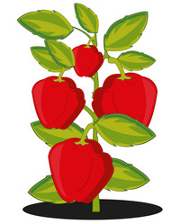 Similar image 21318597