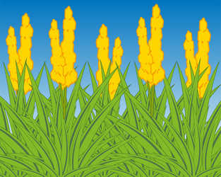 Similar image 21318625