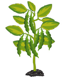 Similar image 21318629