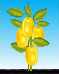 Similar image 21318636