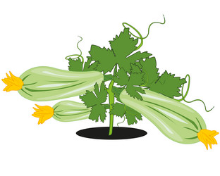 Similar image 21318641