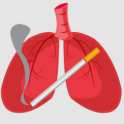 Similar image 21318511