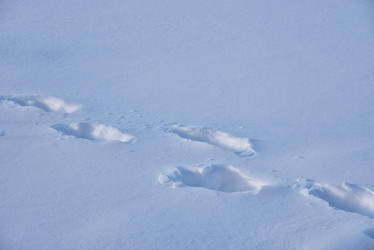 Similar image 21308788