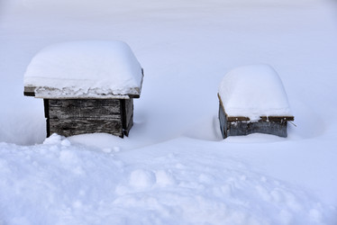 Similar image 21308826