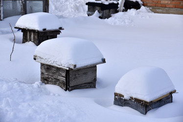 Similar image 21308827