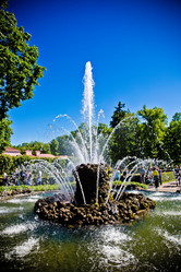 Similar image 21293486