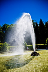 Similar image 21300836