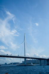 Similar image 21301009