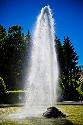 Similar image 21300860