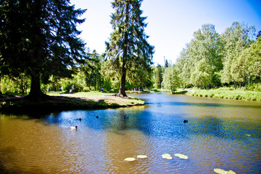 Similar image 21293516