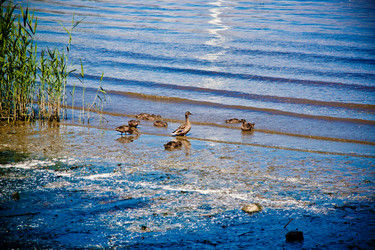 Similar image 21293517